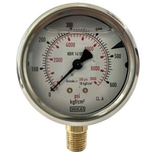 Manômetro 63mm Vertical 9000×600 com glicerina modelo 213.53.063