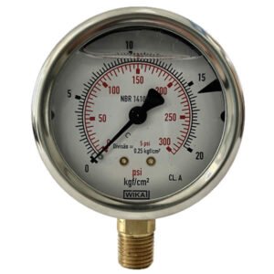 Manômetro 63mm Vertical 300×20 com glicerina modelo 213.53.063